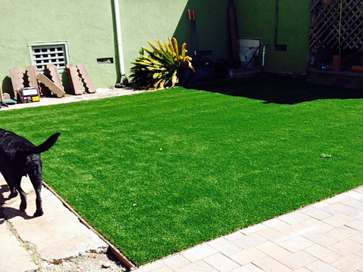 Synthetic Pet Grass Garden Ridge Texas Installation Grass