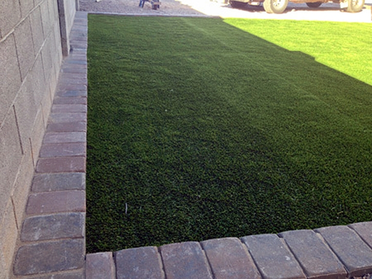 Synthetic Pet Grass Poth Texas for Dogs Front Yard