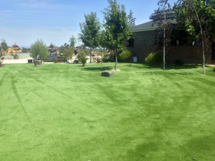 Synthetic Pet Grass Round Rock Texas for Dogs Recreational