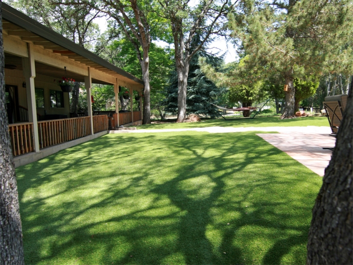 Synthetic Pet Grass Smithville Texas Installation Back Yard