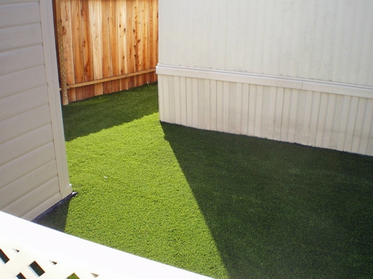 Synthetic Pet Turf Bruceville-Eddy Texas for Dogs Back Yard