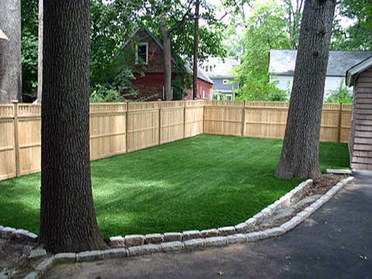 Synthetic Pet Turf Kingsland Texas Installation Back Yard