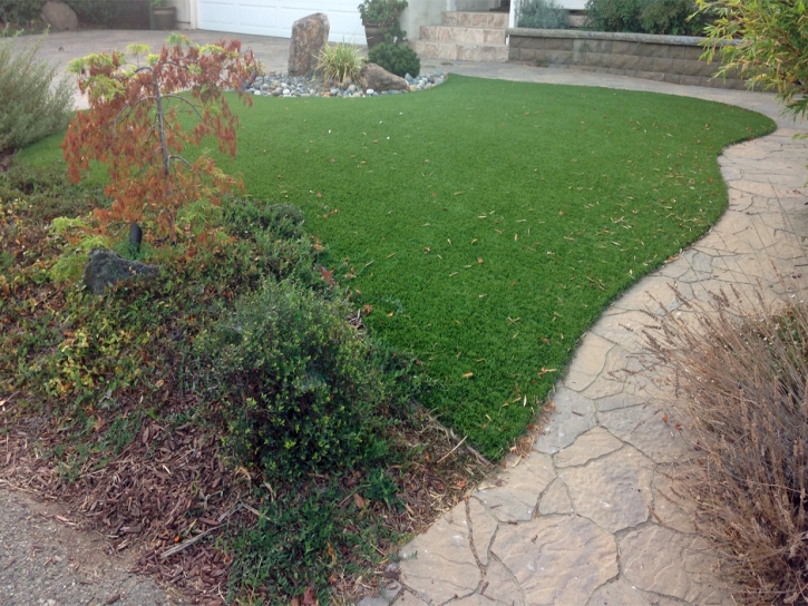 Synthetic Pet Turf Lometa Texas Installation Back Yard