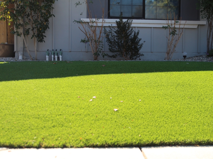 Synthetic Turf Castroville Texas Landscape