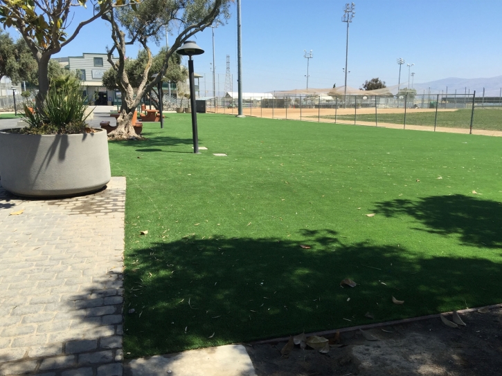 Synthetic Turf DHanis, Texas Home And Garden, Parks