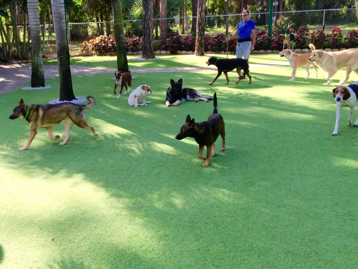 Synthetic Turf Ganado, Texas Watch Dogs, Dogs Park