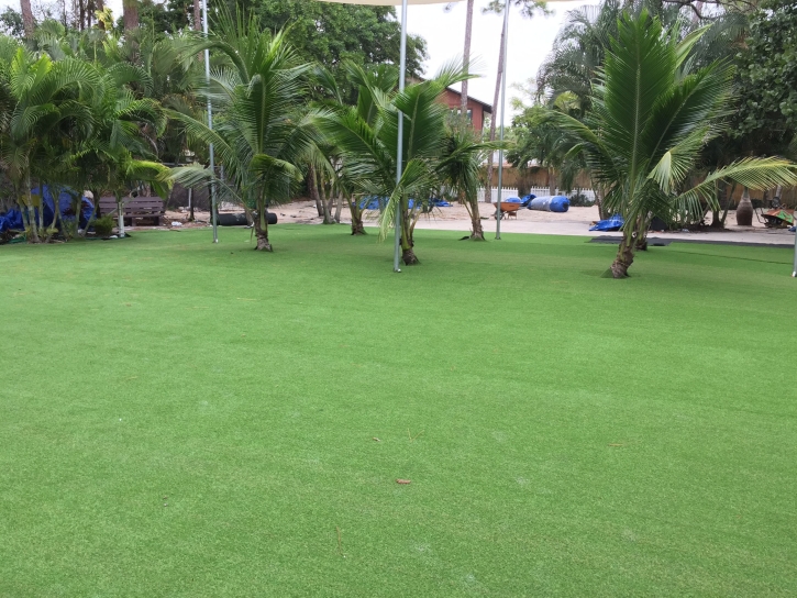 Synthetic Turf Normangee, Texas Landscape Ideas, Commercial Landscape